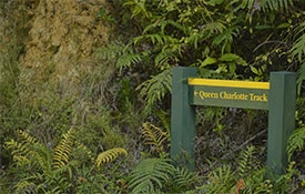 Queen Charlotte Track