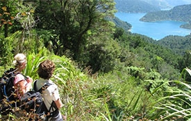 Marlborough Sounds