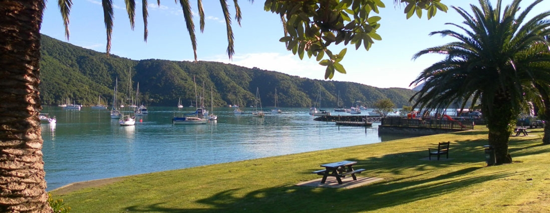 Waikawa Bay boats